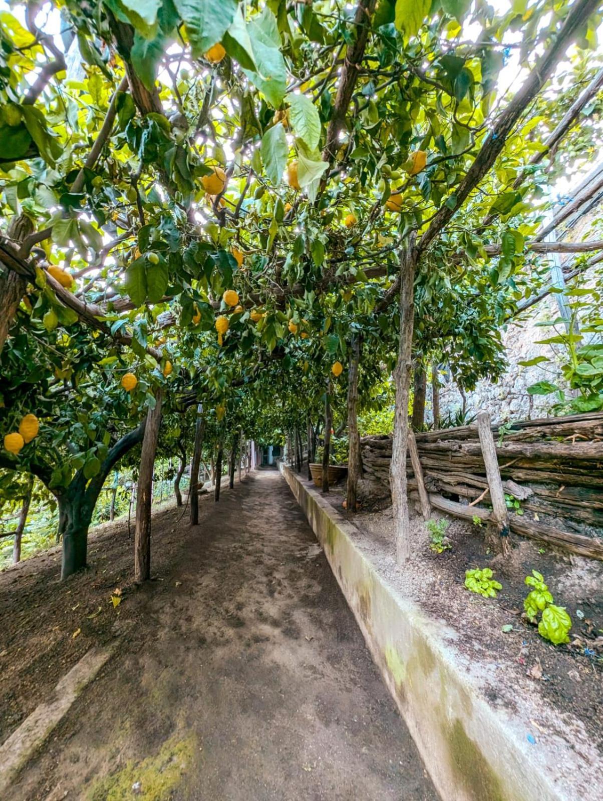 דירות אמאלפי Casa Emi מראה חיצוני תמונה