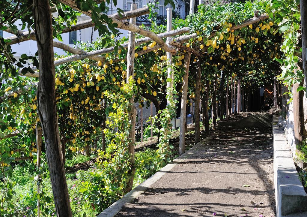 דירות אמאלפי Casa Emi מראה חיצוני תמונה